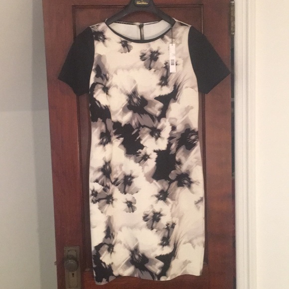 Tahari Dresses & Skirts - NWT Tahari scuba floral black & white dress sz 12